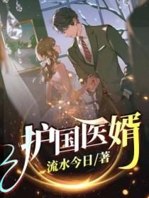 护国医婿